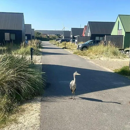 920-hvide-sande-langsand-115-1 *