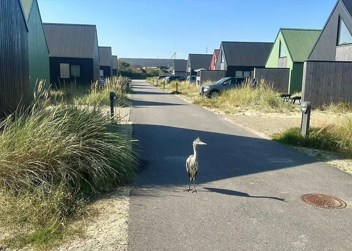 920-hvide-sande-langsand-115-1 *